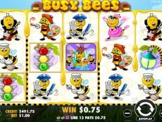 Busy Bees