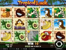 Tropical Luck