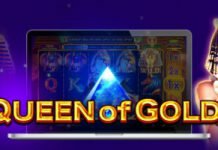 Queen of Gold Queen of Gold