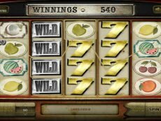 Wild Fruits Wild Fruits