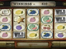 Wild Fruits Wild Fruits