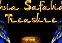 Shia Safavids Treasure