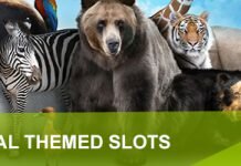 Best animal themed slots Best Animal Themed Slots